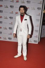 at Indian Telly Awards in Mumbai on 4th May 2013 (148).JPG